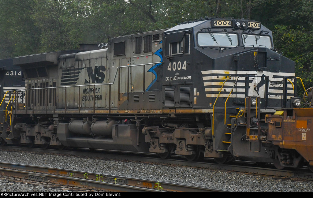 NS 4004